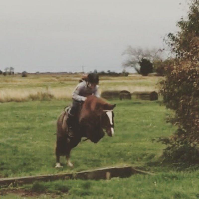 Pony for part loan