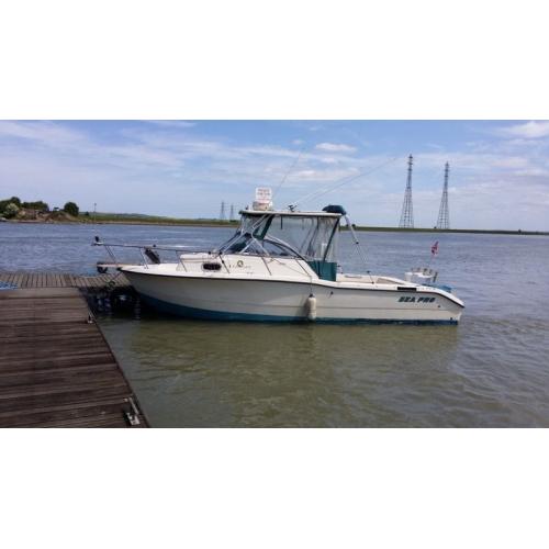 Sea pro walk around 25