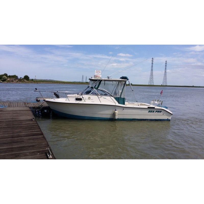 Sea pro walk around 25