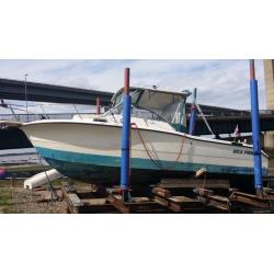 Sea pro walk around 25
