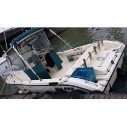 Sea pro walk around 25