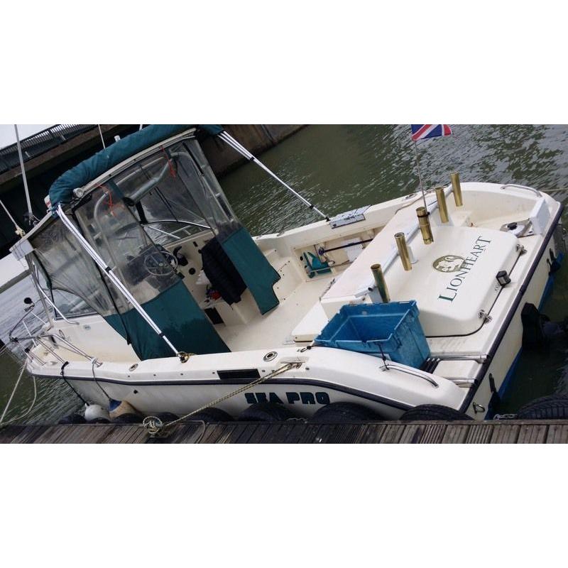 Sea pro walk around 25