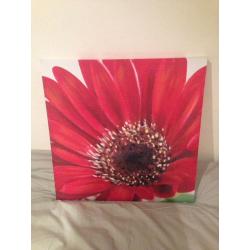 DOUBLE RED GERBERA DAISY WALL ART CANVASES