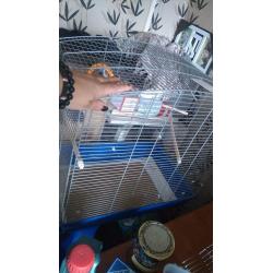 Large cage and stand in blue