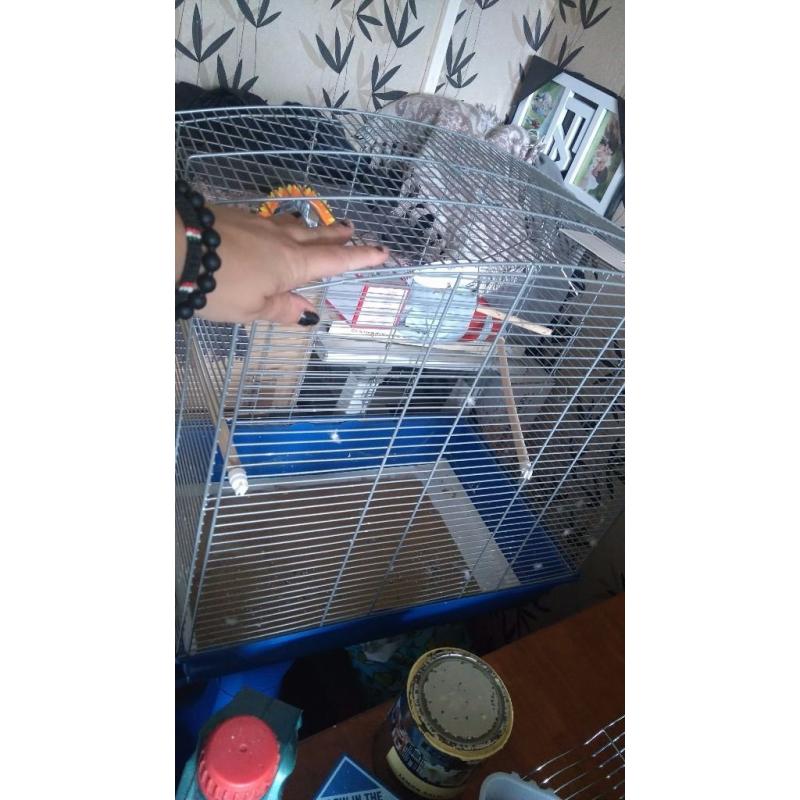 Large cage and stand in blue