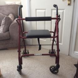 Mobility walker