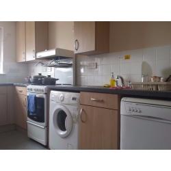 NICE SINGLE ROOM IN MILE END