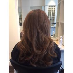 Looking for blow dry model??