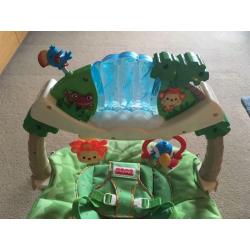 Fisher Price 'Rainforest Friends' Baby Bouncer