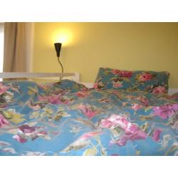 Bright, double room with lots of storage and small double high sleeper. Available to students