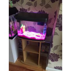 55 litre fish tank with stand