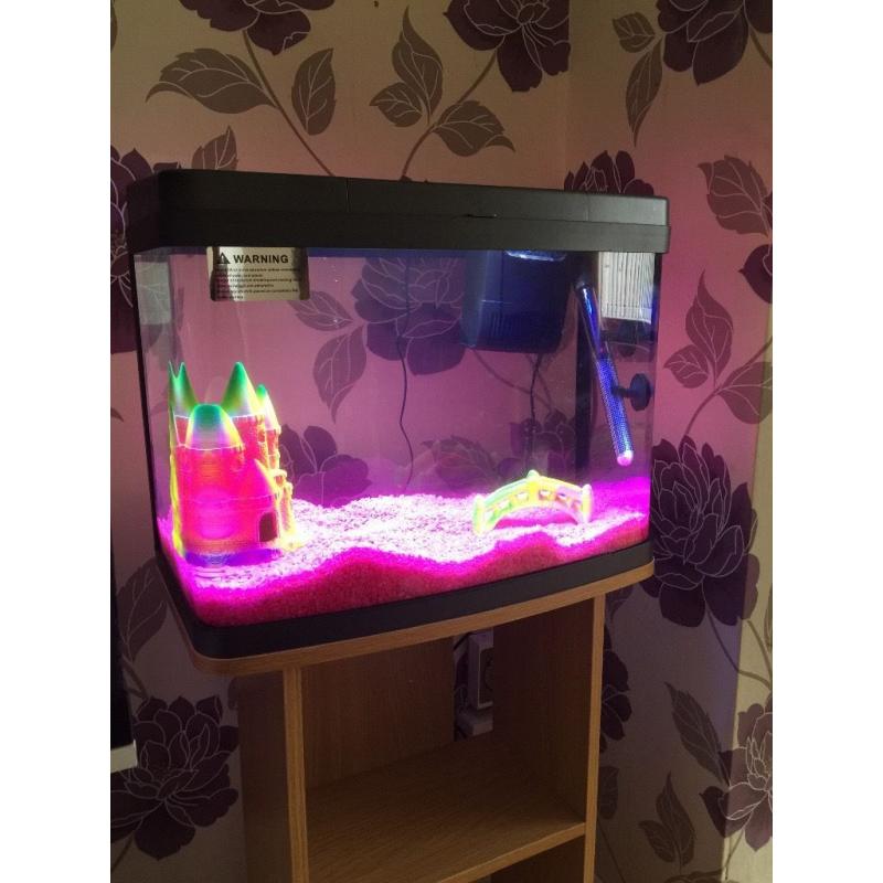 55 litre fish tank with stand