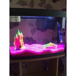 55 litre fish tank with stand