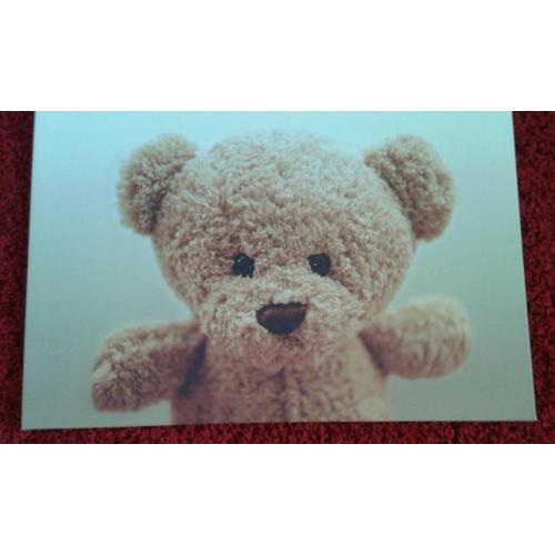 Teddy Bear Canvas (from B&Q)