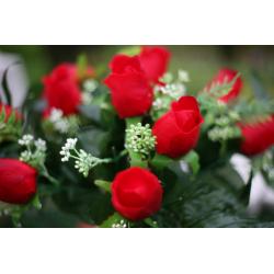 Yongnuo 50mm F1.8 Lens Canon Fit (EF Fit)