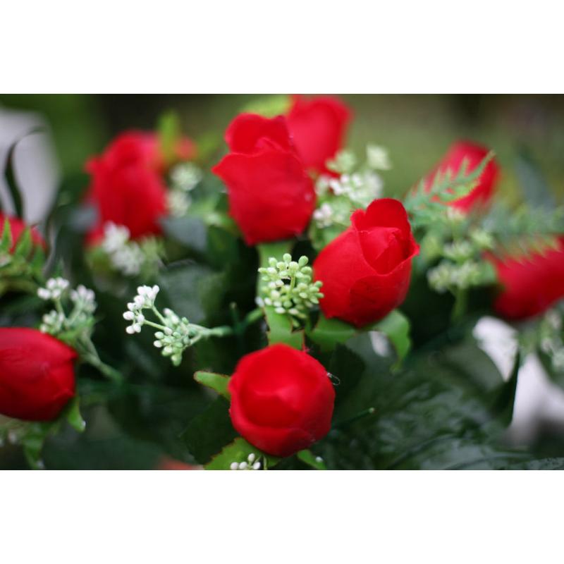 Yongnuo 50mm F1.8 Lens Canon Fit (EF Fit)