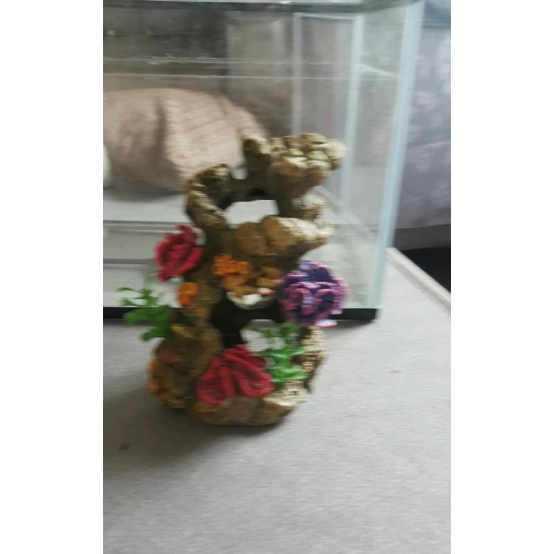 Fish tank