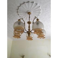 Bell shaped frosted glass chandelier