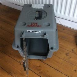 Large cat / Small dog carrier for sale - IATA approved