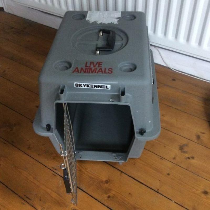 Large cat / Small dog carrier for sale - IATA approved