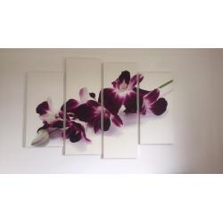 White canvas with orchid flower