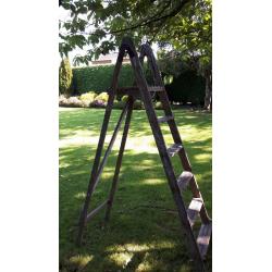 Strong pair of step ladders used but in great condition