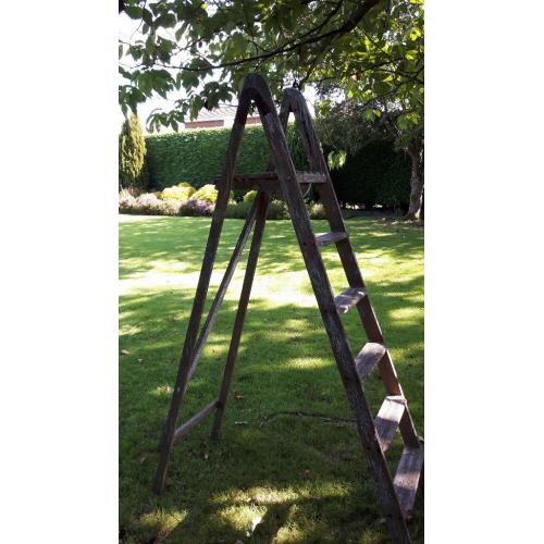 Strong pair of step ladders used but in great condition