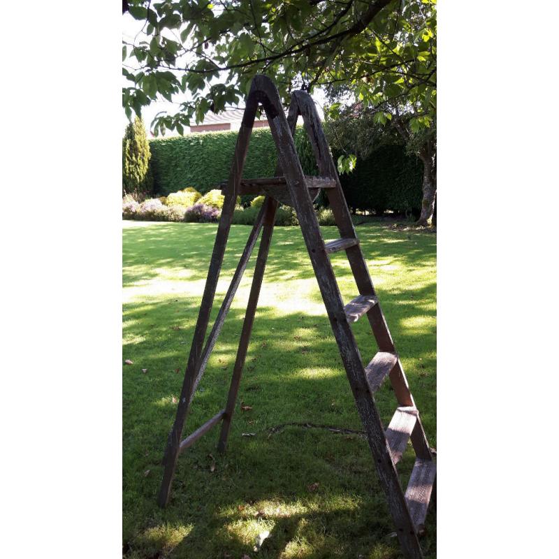 Strong pair of step ladders used but in great condition