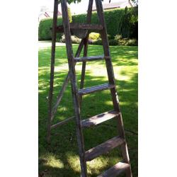 Strong pair of step ladders used but in great condition