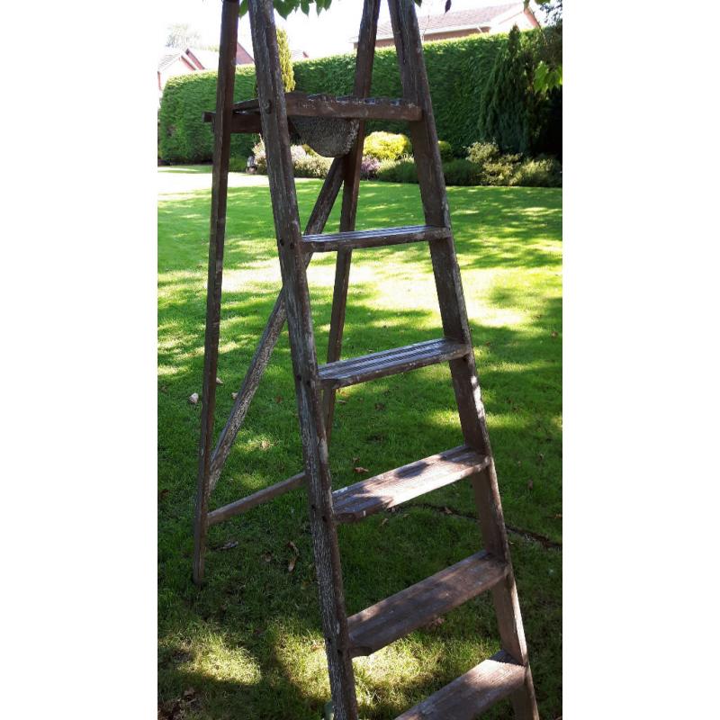 Strong pair of step ladders used but in great condition