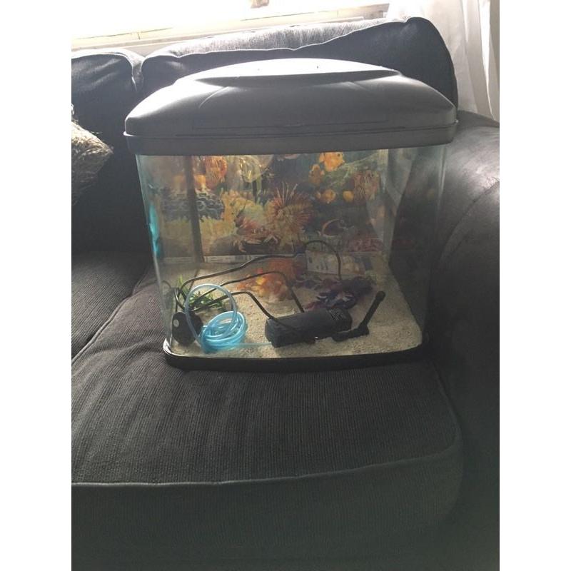 Fish tank / fish box