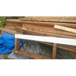 Timber/wood/firewood