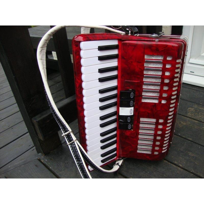 STEPHANELLI MID SIZE ACCORDION (FANTASTIC CONDITION)