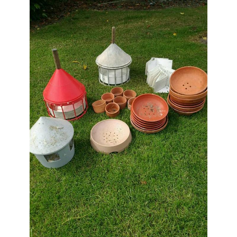Pigeon feeders, drinkers, grit bowls, nest bowls and perches.