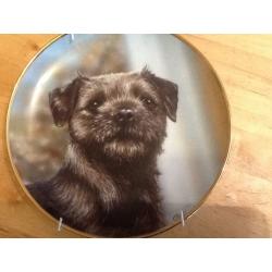 Boarder terriers collection