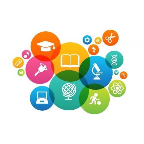 Primary to University level Homework or coursework help