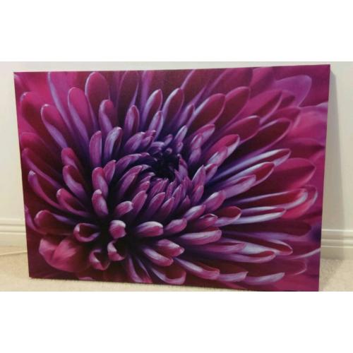 Deep purple soft furnishing bundle