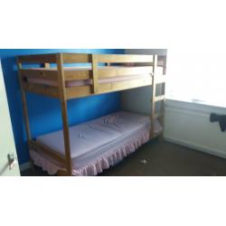 pine bunkbeds for sale