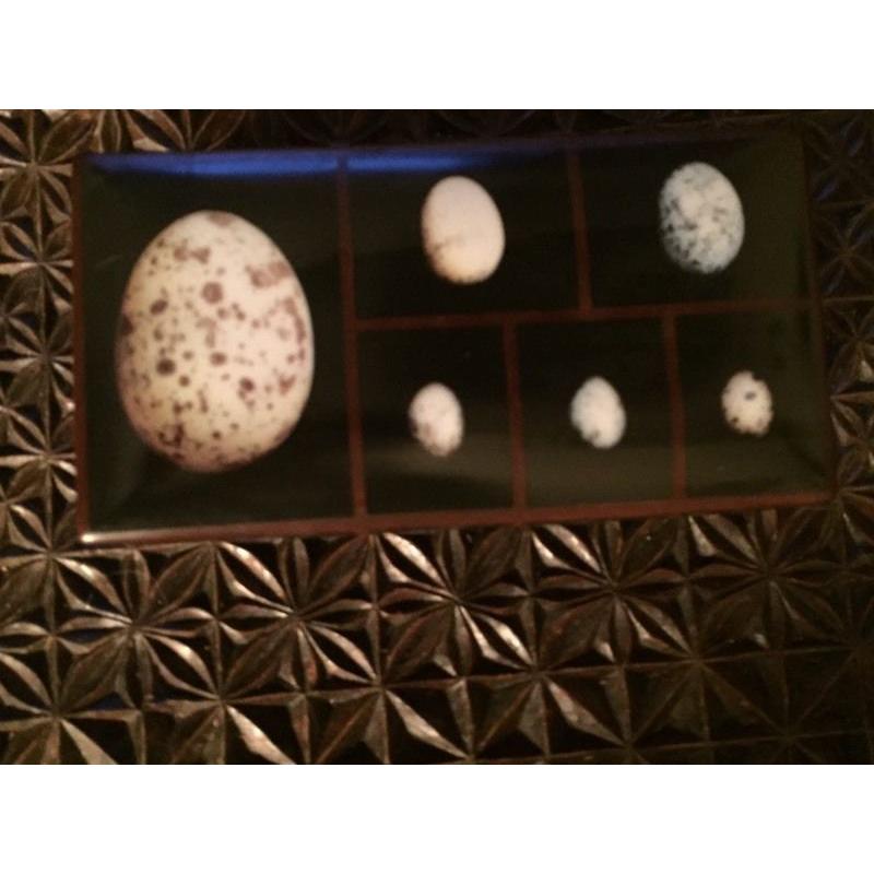 Ceramic box decorated with eggs