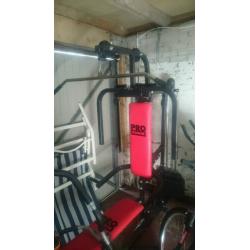 Pro Power Multi gym