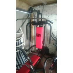 Pro Power Multi gym
