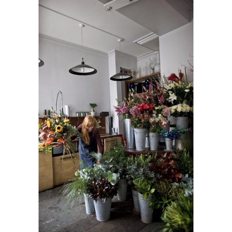 Cleaner for Flower Shop