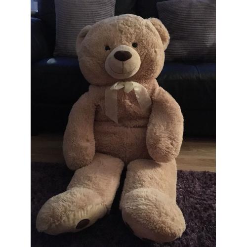 Large teddy
