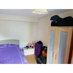Room available in 4 bedroom flat in Holyrood