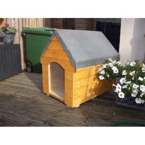 New Dog Kennel