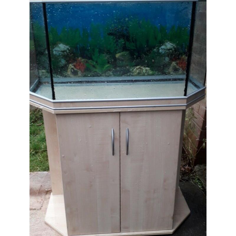 Fish tank & Cabinet(Aquarium)