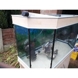 Fish tank & Cabinet(Aquarium)