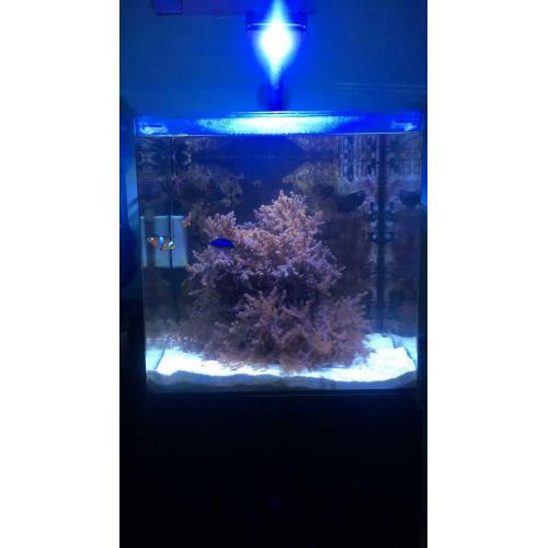 Full marine set up