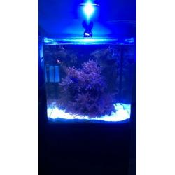 Full marine set up