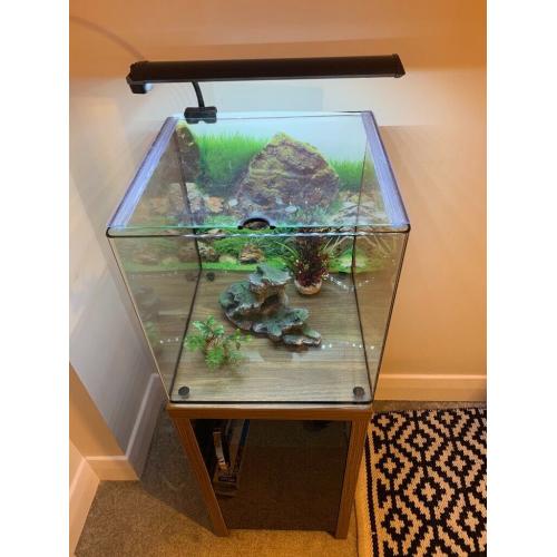 Aqua Aspire 55 + stand, like new excellent condition with extras included